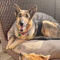 Thumbnail photo of Dottie #3