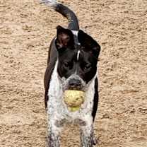 Thumbnail photo of TILLIE #3