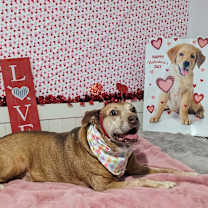 Thumbnail photo of Maverick #1