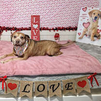 Thumbnail photo of Maverick #3
