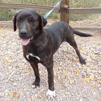 Thumbnail photo of Tobias #2