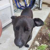 Thumbnail photo of Bear #3