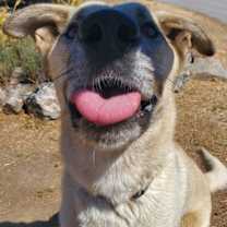 Thumbnail photo of Floyd #4