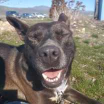 Thumbnail photo of Freya #2