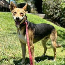 Thumbnail photo of Tai #2