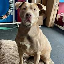 Thumbnail photo of Sophie (aka Soffie) #1