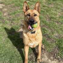 Thumbnail photo of LouLou #2