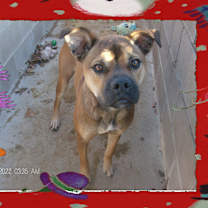 Thumbnail photo of RANDY RUDOLPH #1