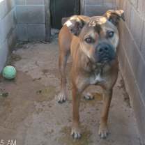 Thumbnail photo of RANDY RUDOLPH #2