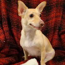 Thumbnail photo of Minnie #3