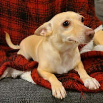 Thumbnail photo of Minnie #4