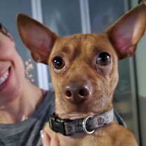 Thumbnail photo of Toby Maguire #2