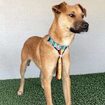 Thumbnail photo of Taylor #2