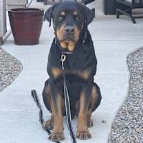 Thumbnail photo of Flex #4