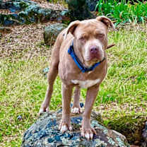 Thumbnail photo of Tank #3