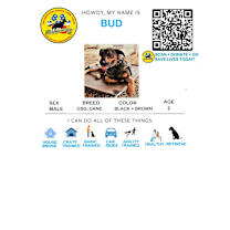 Thumbnail photo of Bud Bud #2