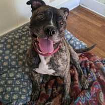 Thumbnail photo of Wilson #1