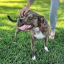 Thumbnail photo of Jinx #1