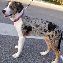 Thumbnail photo of Thelma #1