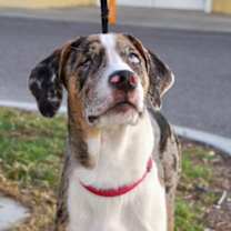 Thumbnail photo of Thelma #2