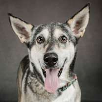 Thumbnail photo of Lady #1
