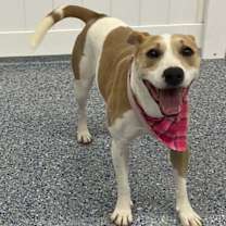 Thumbnail photo of Sasha #2