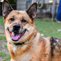 Thumbnail photo of Milia #2