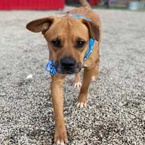 Thumbnail photo of Tucker #1