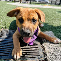 Thumbnail photo of Tucker #4