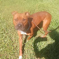 Thumbnail photo of Bishop #4