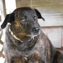 Thumbnail photo of Hercules (Trinity) #2