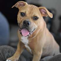 Thumbnail photo of Brady #2