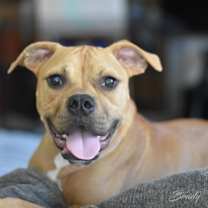 Thumbnail photo of Brady #4