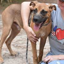 Thumbnail photo of Bronco #1