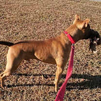 Thumbnail photo of TOBIAS #2