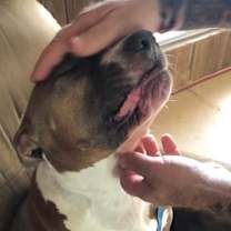 Thumbnail photo of MAXIMUS (MAX) #2