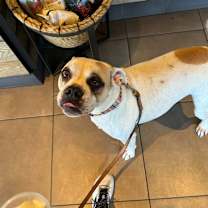 Thumbnail photo of Pina Colada #3