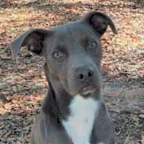 Thumbnail photo of Flint #1