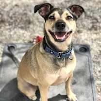 Thumbnail photo of Holly #1