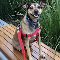 Thumbnail photo of Holly #2