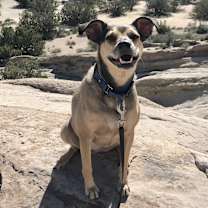 Thumbnail photo of Holly #4