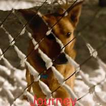 Thumbnail photo of JOURNEY #3