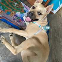 Thumbnail photo of Cardi #2