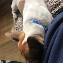 Thumbnail photo of Radar #2