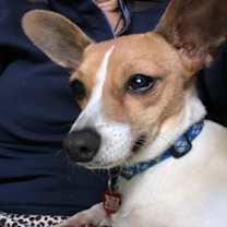Thumbnail photo of Radar #3