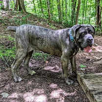 Thumbnail photo of Connie #3