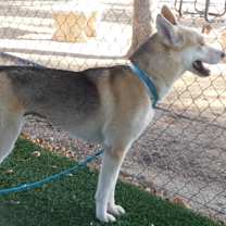 Thumbnail photo of MINNIE #2