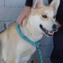 Thumbnail photo of MINNIE #3