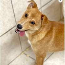 Thumbnail photo of Mikey #1