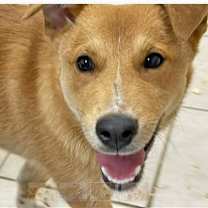 Thumbnail photo of Mikey #2